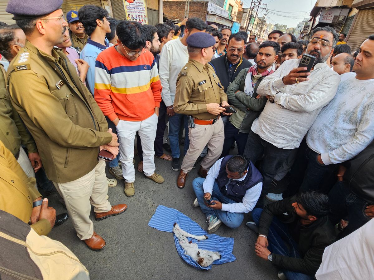 एक बार फिर मिला गौवंश का कटा सिर-पैर,मंदसौर में हिंदू संगठनों ने का चक्काजाम
