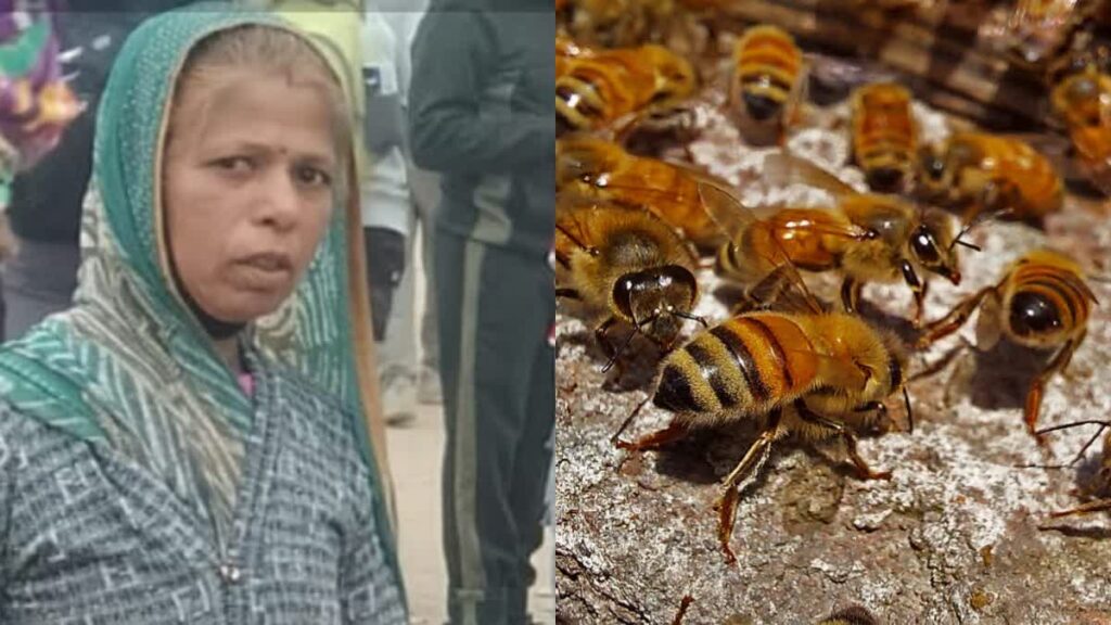 20 मासूमों को बचाने मौत से भिड़ गई Kanchan Bai Neemuch ,मोहन यादव ने किया बड़ा ऐलान