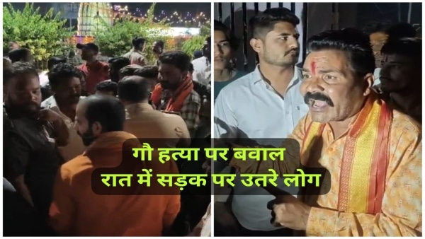 भोपाल काली मंदिर मामला: बछड़े के अवशेष मिले, DNA जांच शुरू, पुलिस की 6 टीमें एक्टिव