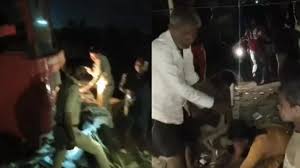 Bhopal Chhola Mandir Accident: बेकाबू LPG टैंकर घर में घुसा